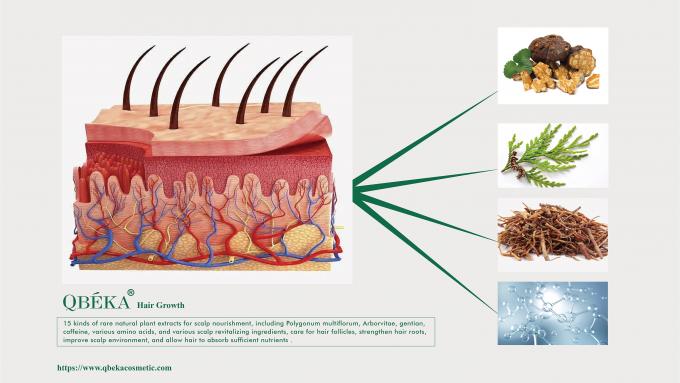 80 ml al giorno di GMPC Trattamento standard per la perdita di capelli maschile eccessiva e il ritiro della linea dei capelli 3