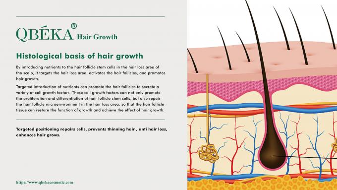 80 ml al giorno di GMPC Trattamento standard per la perdita di capelli maschile eccessiva e il ritiro della linea dei capelli 2