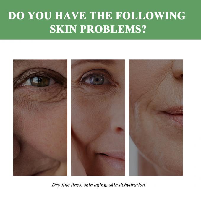 Dimensioni normali Crema idratante anti-invecchiamento Organica naturale per sollevare le rughe Crema per adulti 6